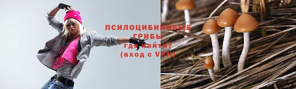ECSTASY Алексин