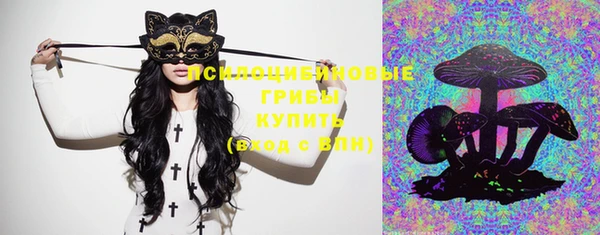 ECSTASY Алзамай
